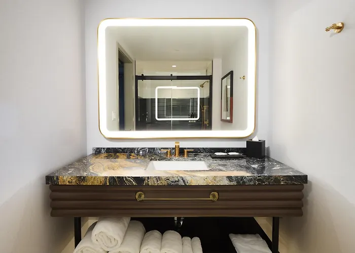Hotel Hyatt Centric Chicago Ohare